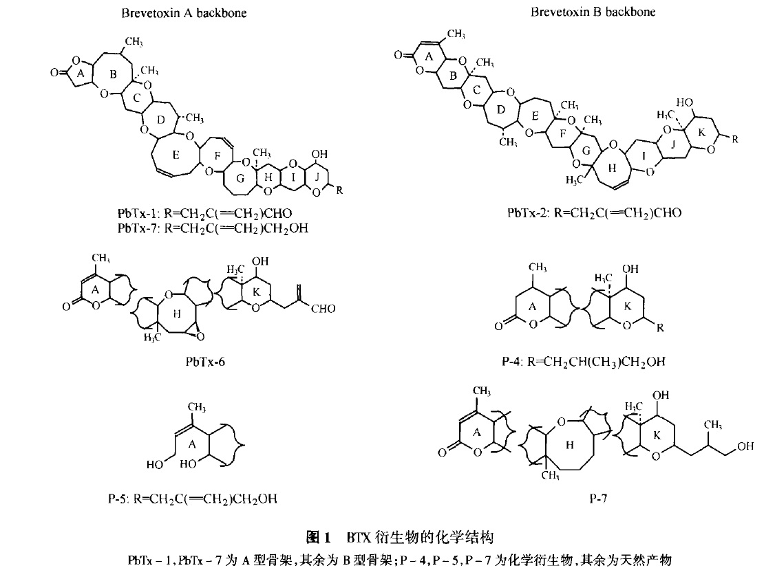 短裸甲藻毒素及其衍生物分子結構