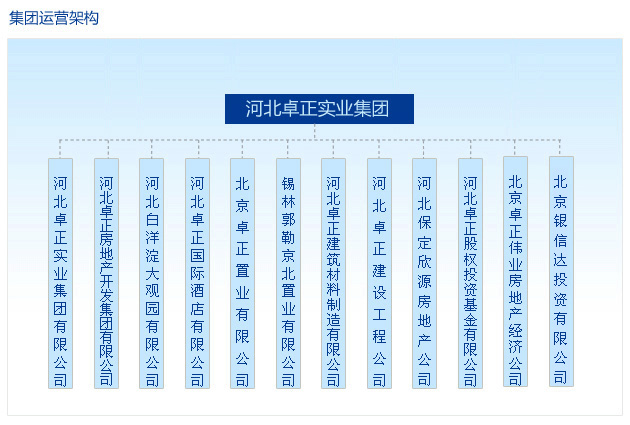 集團運營架構