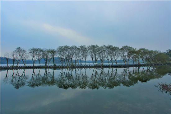 四川名山清漪湖省級濕地公園