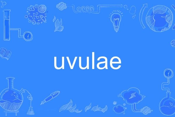 uvulae