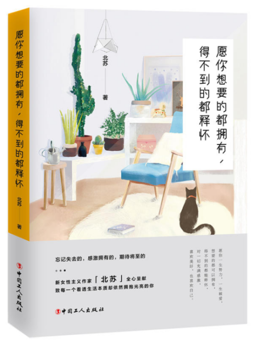 願你想要的都擁有，得不到的都釋懷(2018年工人出版社出版的圖書)