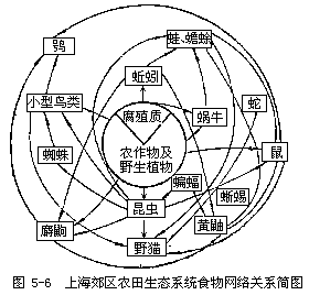 生態結構