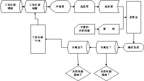 種子原液