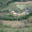 山背後自然村(雲南臨滄臨翔區螞蟻堆鄉曼啟村山背後自然村)