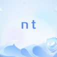 nt(網路流行語)