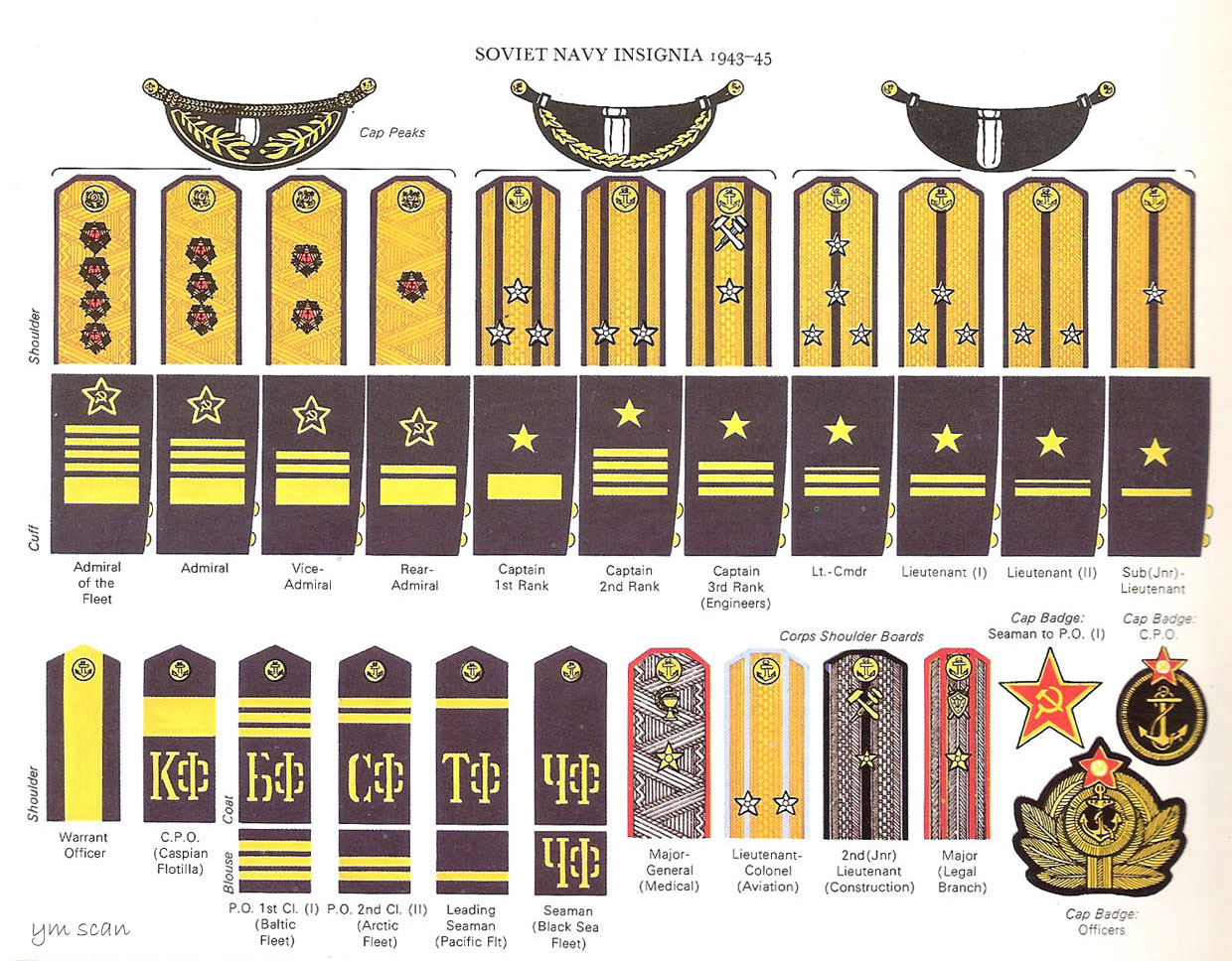 二戰時的蘇聯海軍軍銜