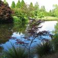 范度森植物園