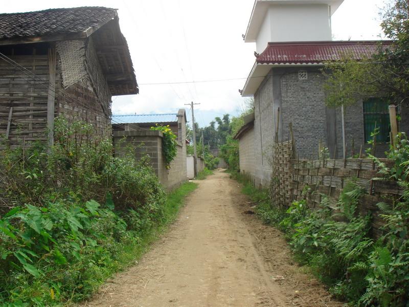 入村道路與民居