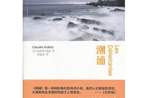 潮湧(2013年上海文藝出版社出版的圖書)