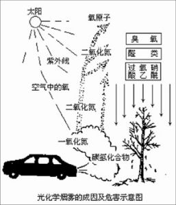 1943年洛杉磯光化學煙霧事件