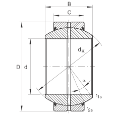 FAG GE20-FO-2RS軸承