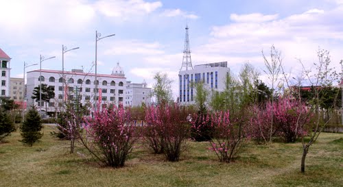 龍濱公園