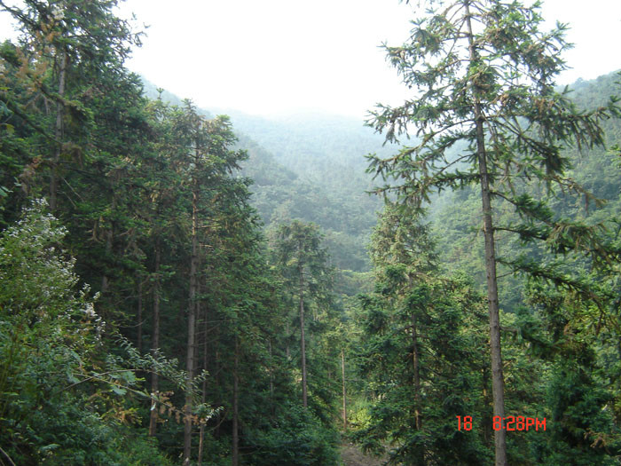 兩河村(安徽省金寨縣長嶺鄉兩河村)