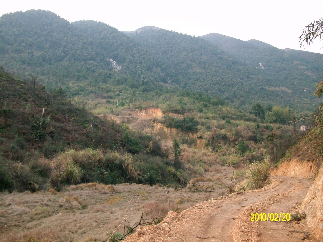 遠眺圓珠山