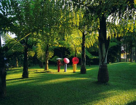 大森林公園逃脫