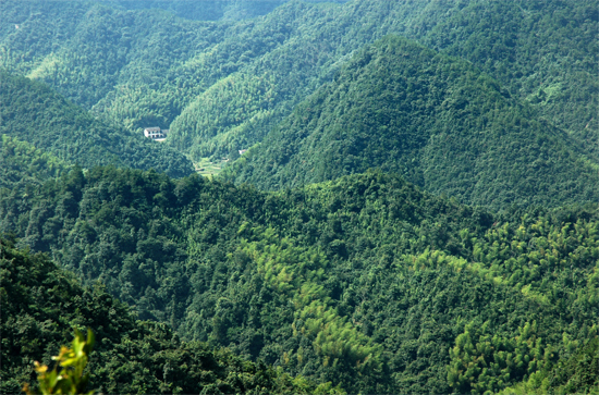 湖南東台山自然保護區