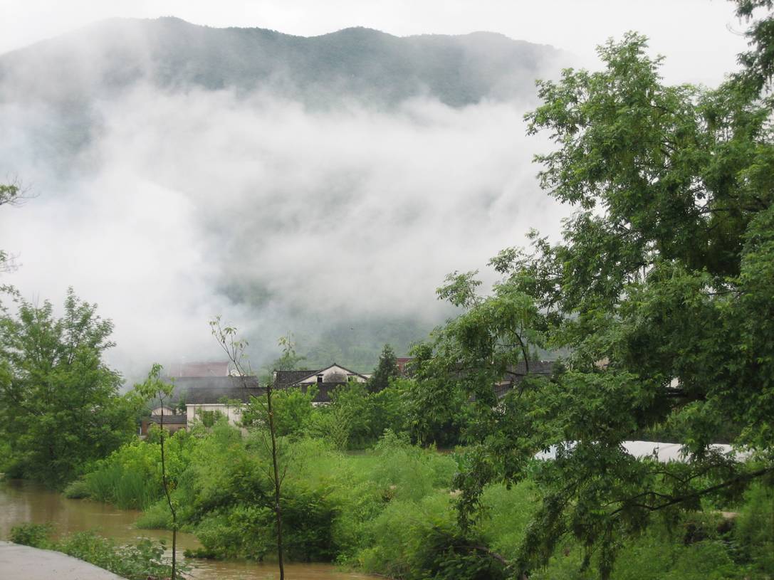 南陽村(山西省運城市稷山縣南陽村)