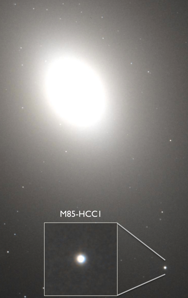 M85-HCC1