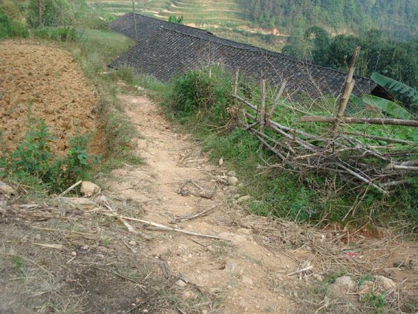 石碼頭村村內路