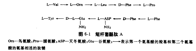 短桿菌素