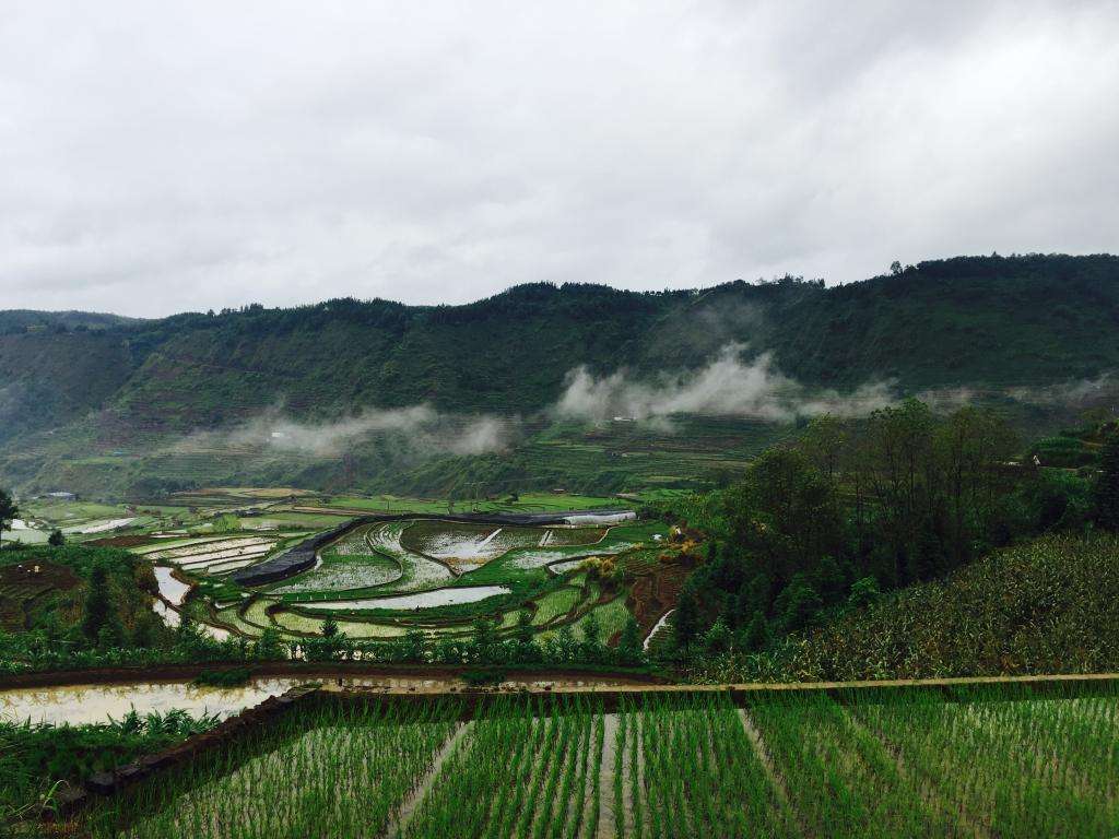 龍江鄉(廣西鹿寨縣龍江鄉)