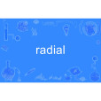 radial(英語單詞)