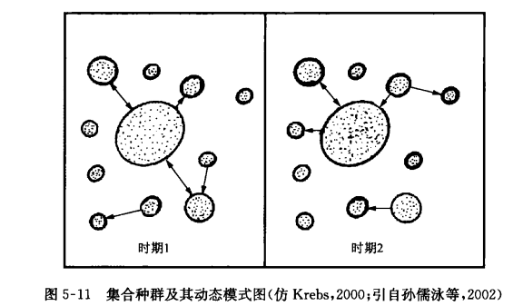 集合種群