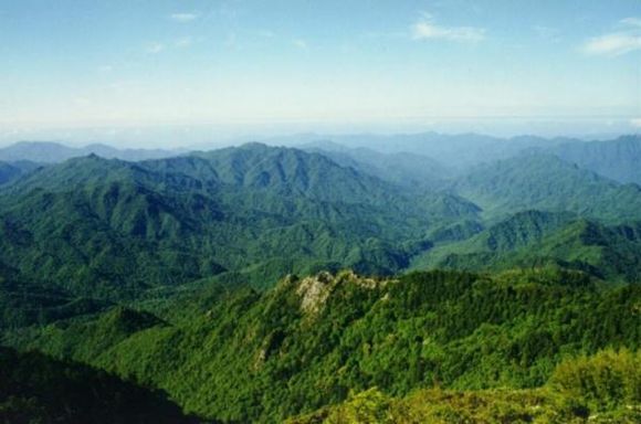 華陽鎮(陝西洋縣華陽鎮)