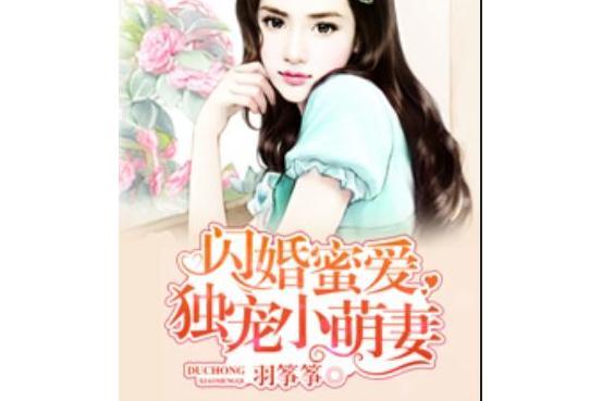 閃婚蜜愛：獨寵小萌妻