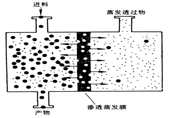 滲透蒸發