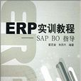 ERP實訓教程：SAP BO指導