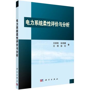 電力系統柔性評價與分析