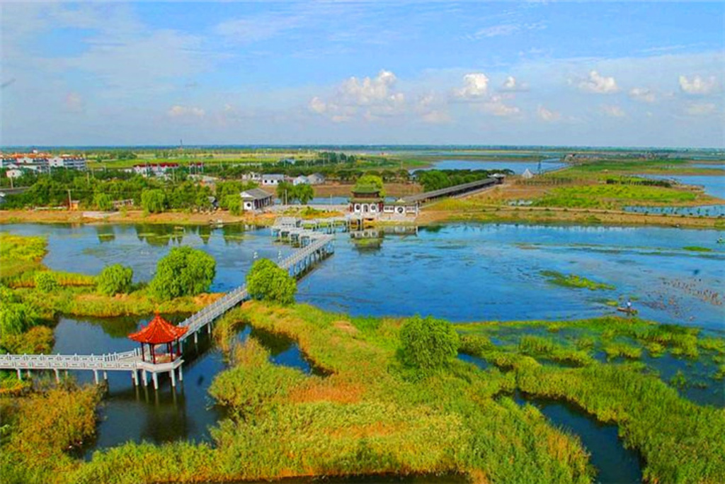 泰州溱湖濕地生態園