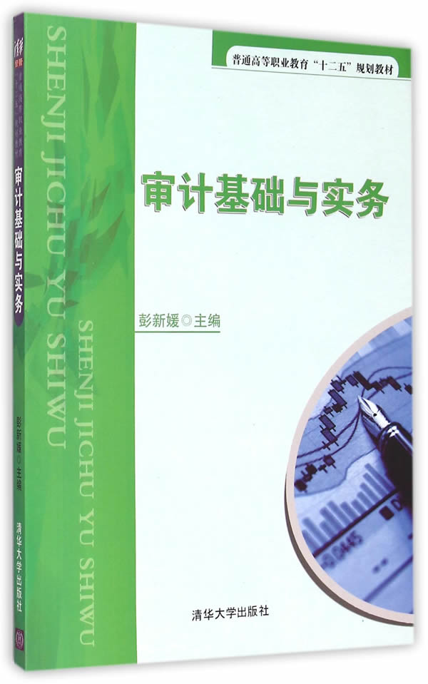 審計基礎與實務(清華大學出版社出版的圖書)