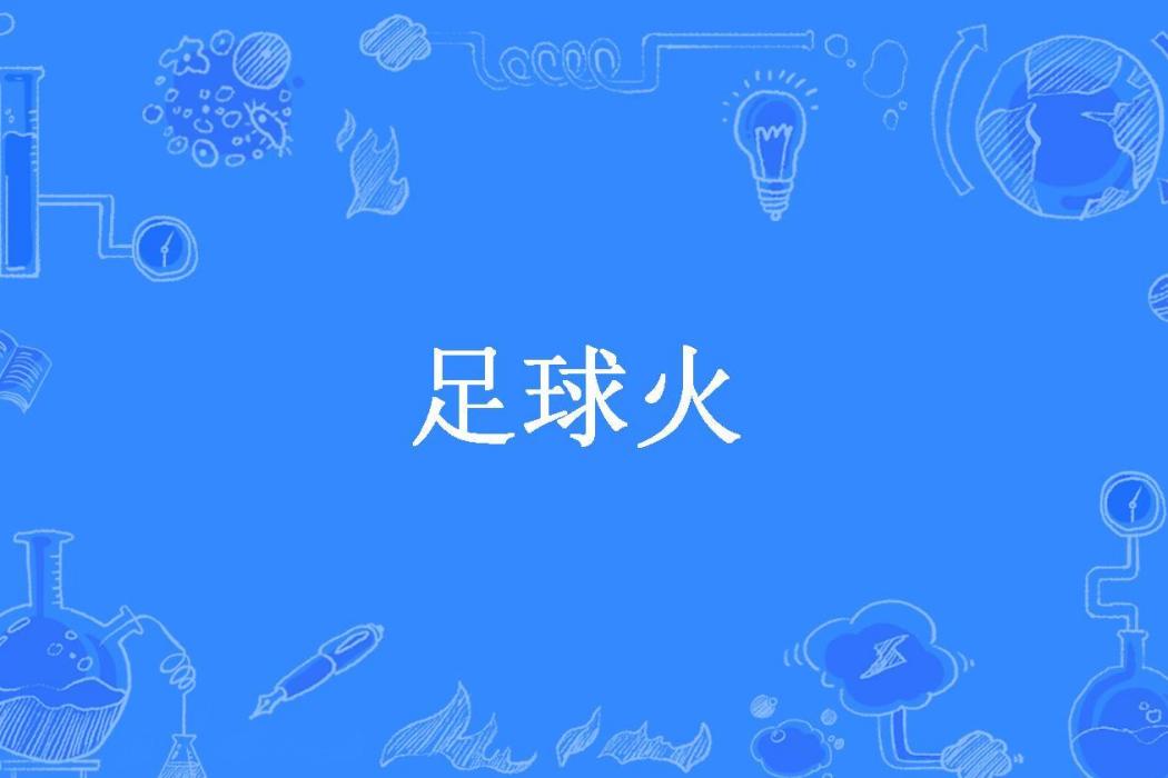 足球火(勞資是男子漢所著小說)