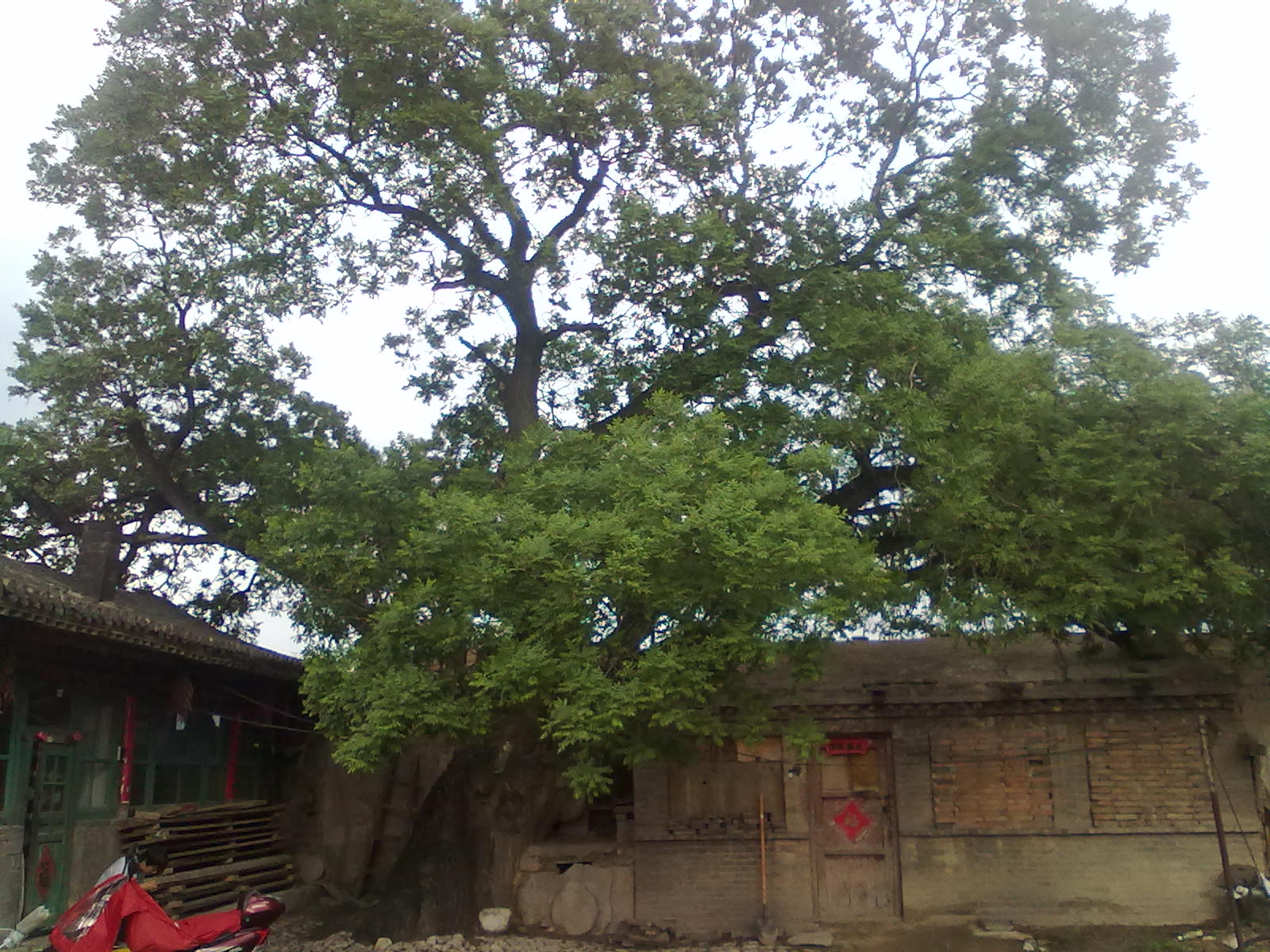 吉莊村(朔州市神頭鎮吉莊村)