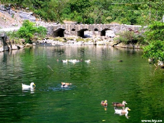 公園遊人容量