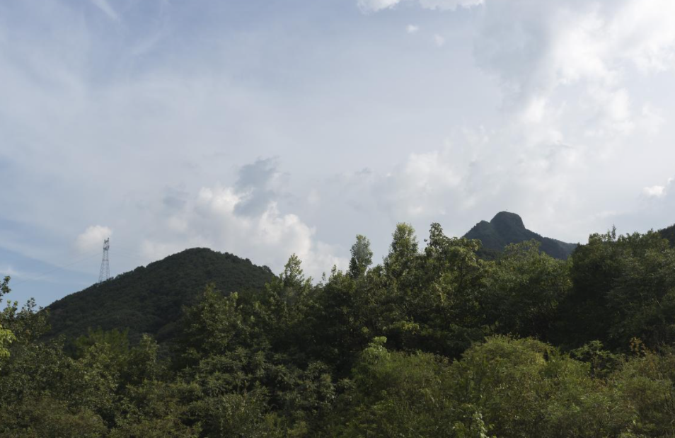 浙江東陽南山國家森林公園