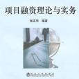 項目融資理論與實務(2010年冶金工業出版的圖書)