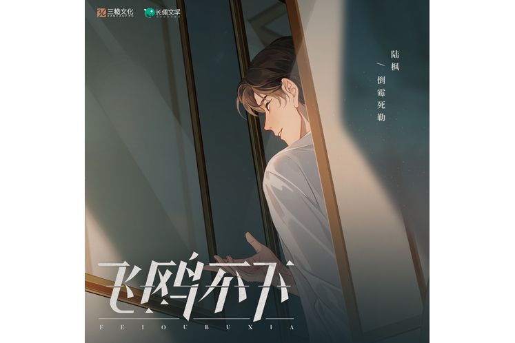 陸楓(小說《飛鷗不下》主人公)