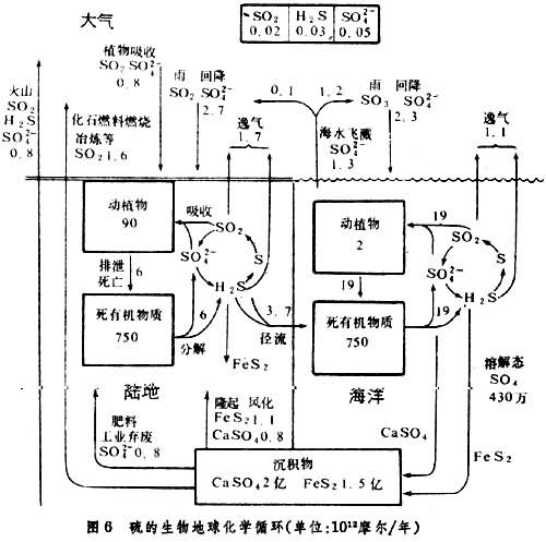 硫的地球生物化學循環