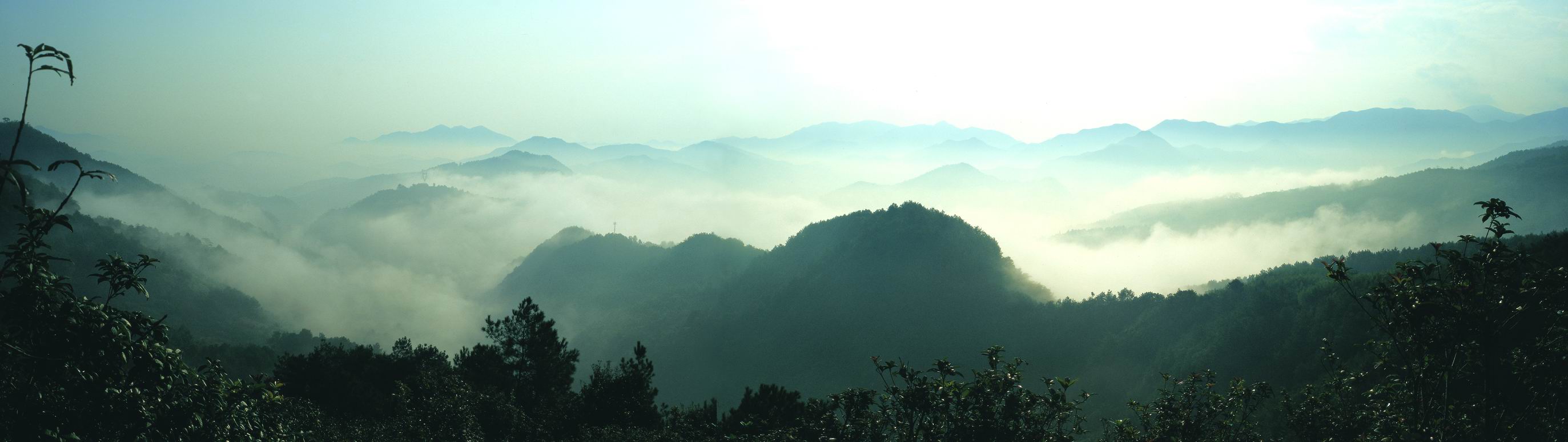 浙江四明山國家森林公園