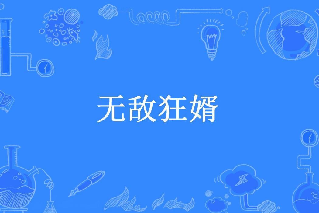 無敵狂婿(二十七所著小說)