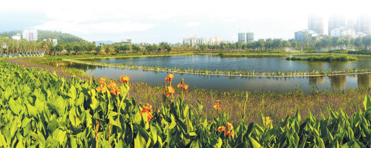 海南三亞河國家濕地公園