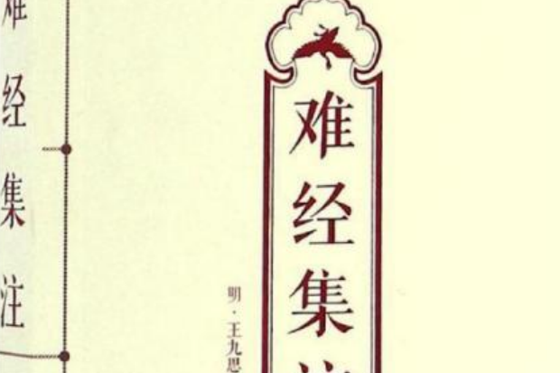 難經集注(2011年中國醫藥科技出版的圖書)