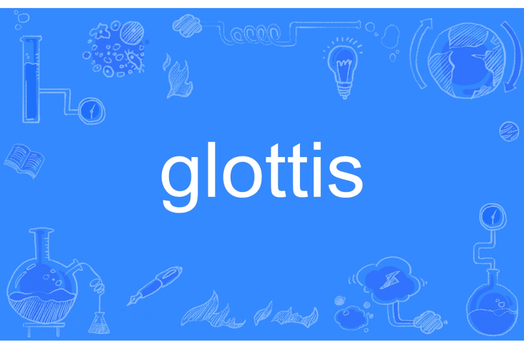 glottis