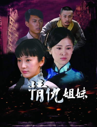 姐妹情緣(2012年靳東、陶飛霏主演的電視劇)