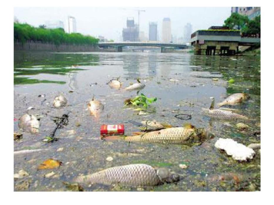 水污染抽樣