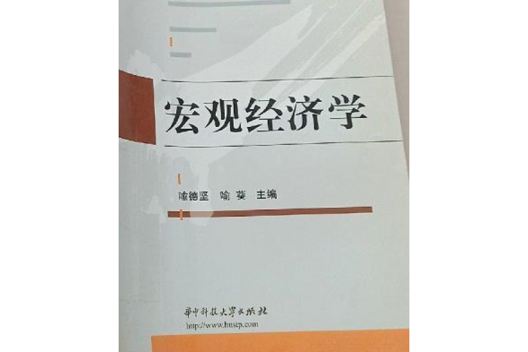 總量經濟學(2009年華中科技大學出版社出版圖書)