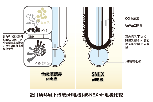 逆境蛋白